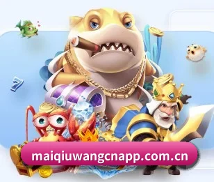 买球网的故事 - maiqiuwang